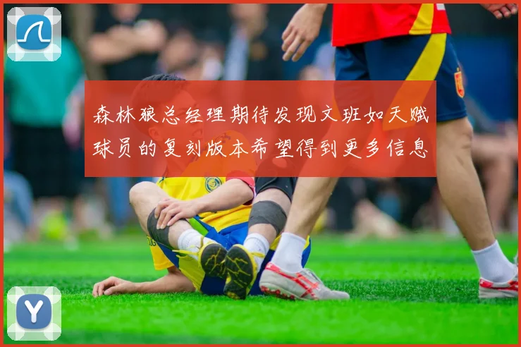 森林狼总经理期待发现文班如天赋球员的复刻版本希望得到更多信息