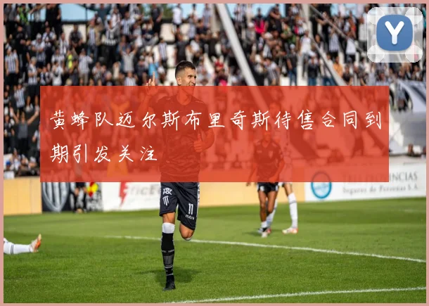 黄蜂队迈尔斯布里奇斯待售合同到期引发关注